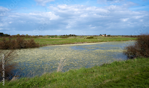 Marais Breton, Marais Vendéen,