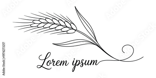 Elegant Hand-Drawn Wheat Ear Logo Template