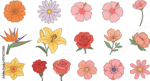 Soft Color Hand Drawn Flower Set Featuring Rose Lily Hibiscus Daisy and Decorative Garden Blossoms in Minimal Botanical Style