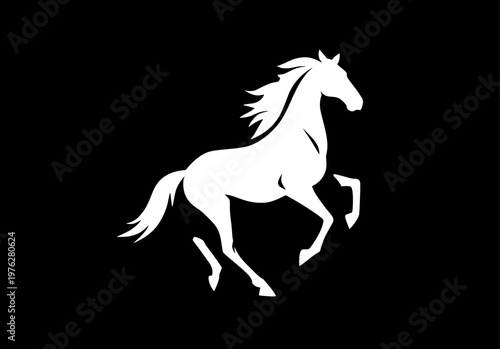 Silhouette of rearing horse prancing on hind legs against black background