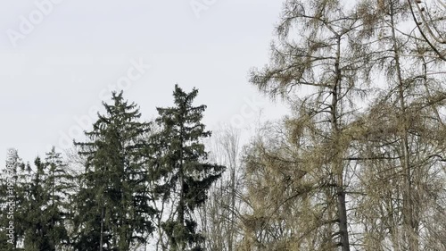 police helicopter flying over countryside