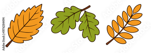 Three autumn leaves in flat vector style featuring elm, oak and ash shapes, isolated on a transparent background. Minimal seasonal clipart set for fall branding and packaging.