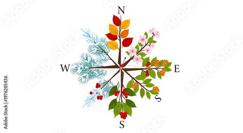 A colorful compass rose illustration with seasonal leaves and flowers on a white background
