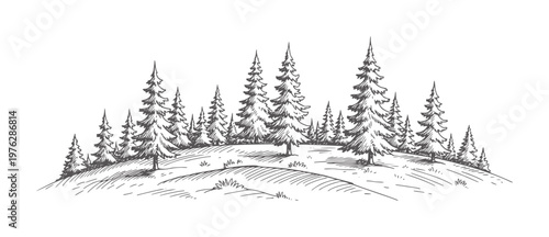 Hand drawn of evergreen forest a rolling hill trees nature