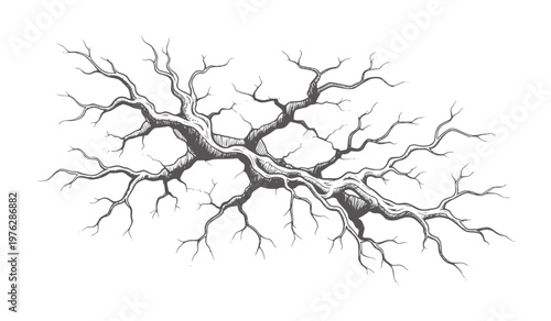 Ink of a bare gnarled tree branch structure