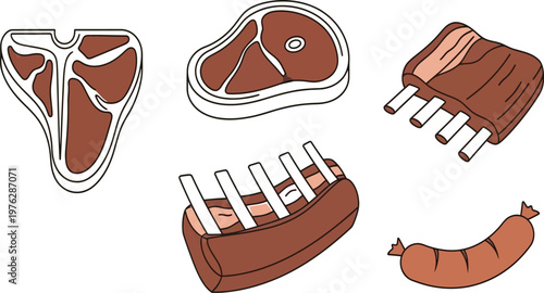 Illustrations of various beef cuts prepared for cooking with different techniques Vector