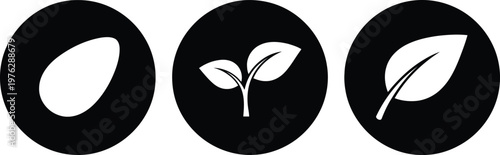 Seed to Leaf Growth Icons Set – Minimalist Black and White Plant Life Cycle Symbols