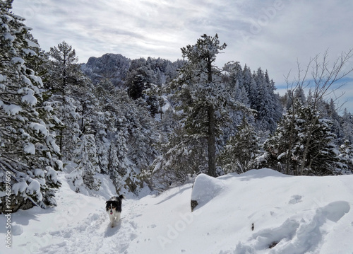 Randonnée dans la neige vers le sommet du Moucherotte dans le Vercors en France en mars 2026