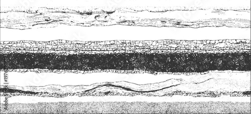 Detailed cross-section of layered geological strata with varied textures and dark central band geology