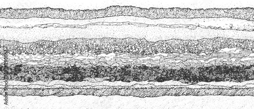 Detailed cross section of geological strata showing layers of sediment rock and soil textures geology