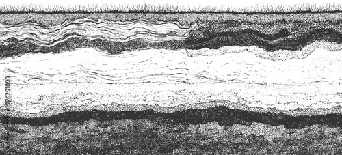 Cross section of earth layers with grass on and wavy strata below