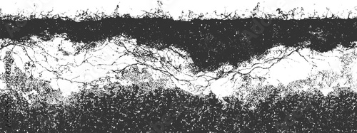 Monochrome abstract texture of tangled branches and organic patterns on white background