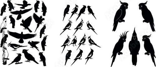 Silhouette Bird Collection Featuring Cockatoos, Parrots, and Hawks for Animal Illustration, Nature Designs, and Wildlife Projects