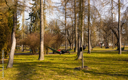 Peaceful park scene with hammocks stretched between trees, green grass and soft sunlight creating a relaxing outdoor atmosphere, leisure and nature concept.