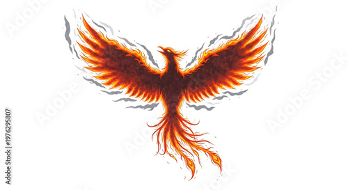 A vibrant phoenix bird in flight with fiery plumage and outstretched wings on a white background