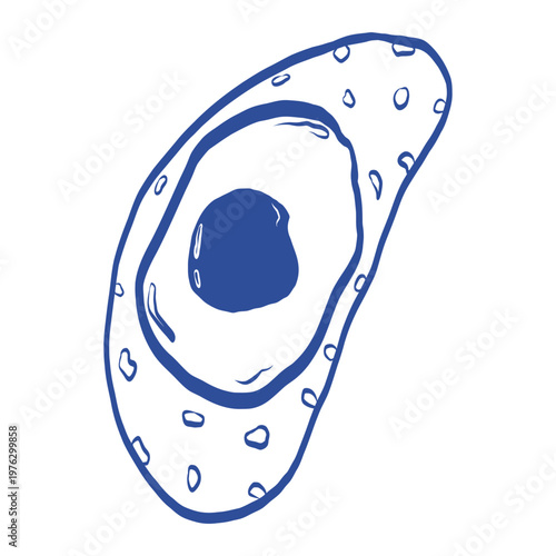 Fried egg on toast bread blue outline vector. Breakfast sandwich hand drawn illustration. Simple morning meal icon