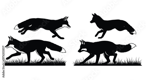 Four black silhouettes of running foxes in various poses graphic style silhouette