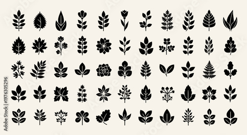 Collection of various leaf and flower silhouettes.