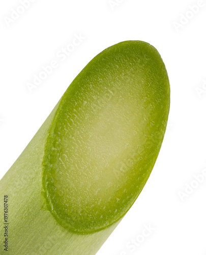 Bilde på lerret fresh green asparagus stalk cut isolated on transparent background png