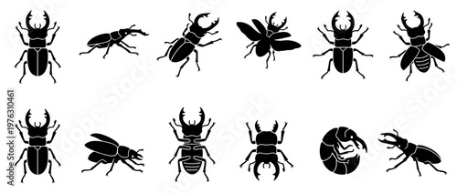 Collection of various beetle silhouettes, including stag beetles, in different poses and views, representing insect diversity.