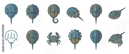 Horseshoe crabs and crab cute cartoon illustrations in different poses and styles, showcasing marine life and aquatic creatures.