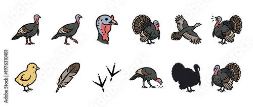 Cartoon turkeys, chick, feather, and footprints set in various poses, illustrating different aspects of these farm birds and their characteristics.