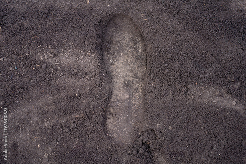 Canvas Print Close view of footprints in loose soil in a garden bed, showing human shoe marks on cultivated ground outdoors