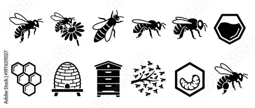 Bee, beehive, honeycomb, and beekeeping icons depicting various aspects of honey production, insect life, and apiary elements in a simple, graphic style.