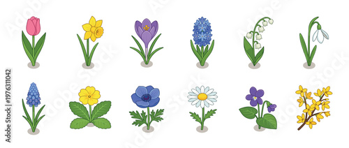 Spring flowers collection with various colorful blooming plants like tulips, daffodils, crocuses, and hyacinths in a charming vector illustration.