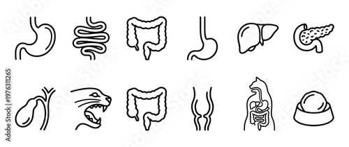 Collection of outline icons depicting various animal and human digestive organs, internal anatomy, and pet care items.