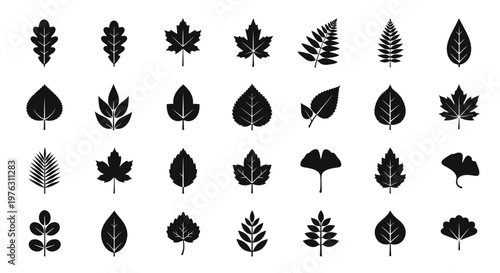 Collection of various leaf silhouettes.