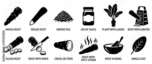 Root vegetable icons showing various forms like whole, peeled, sliced, grated, and prepared for cooking or eating in black silhouettes.