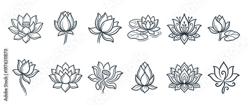 Lotus flowers line art collection showcasing various elegant botanical illustrations of water lilies in different stages of bloom, perfect for design elements.