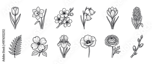 Collection of hand-drawn spring flowers and botanical elements in black and white line art style, perfect for seasonal designs and decorations.
