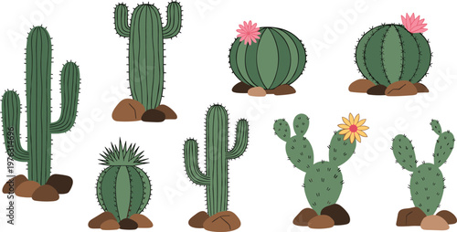 Cactus Collection Vector Illustration Set Featuring Desert Plants Including Barrel Cactus Prickly Pear and Flowering Succulents for Nature Botanical Design Projects
