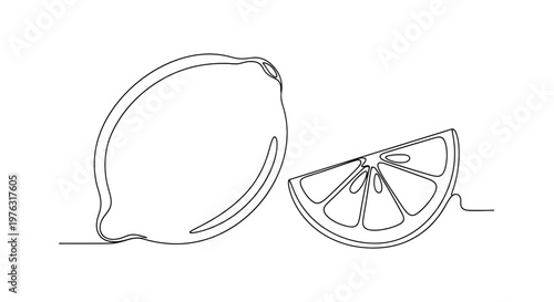 Single line drawing of a lemon and slice with clean, modern graphic is ideal for food