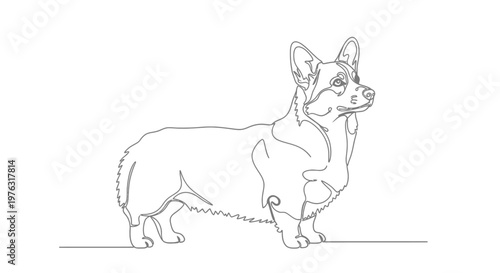 Continuous line art of a corgi dog with single line