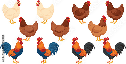Chicken and Rooster Collection Vector Illustration Set Featuring Farm Poultry Including Hens and Roosters in Different Colors for Agriculture and Livestock Design Projects