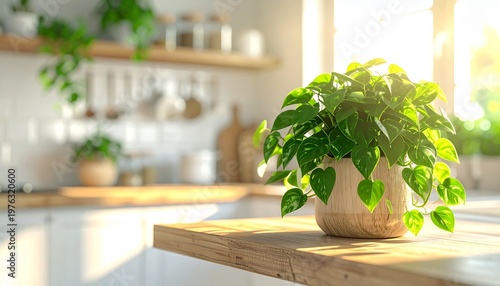 Sunny kitchen with plants, wooden counter, and bright natural light