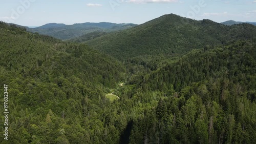 Aerial drone view of majestic summer mountains and forest. Open mind. Relaxing silent concept. Hope dreams. Green deciduous and evergreen trees. Outdoors lifestyle for healthy and fresh air