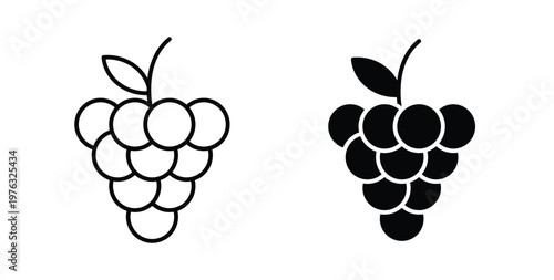 Grapes icon vector illustration logo design in clipart and strokes