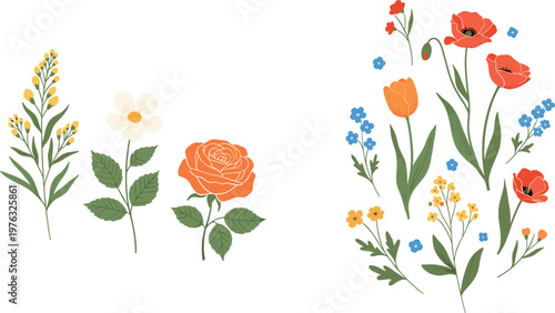Bright Floral Collection with Orange Roses, Poppies, and Blue Forget-Me-Nots for Spring and Summer Designs