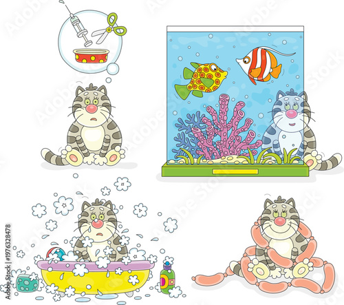 Funny cat thinking about sterilization, watching aquarium fishes, washing in a bath and enjoying tasty sausage, a set of vector cartoon illustrations isolated on a white background