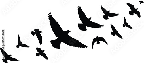 Flock of Flying Birds in Formation, Black Silhouettes in Flight, Nature-Inspired Vector Art for Freedom, Migration, and Wildlife Illustrations