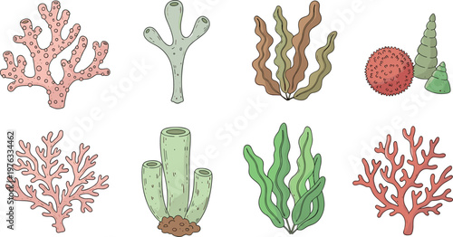 Coral Reef Collection Vector Illustration Set Featuring Various Sea Coral Shapes and Marine Plants for Ocean Underwater Nature and Aquarium Design Projects