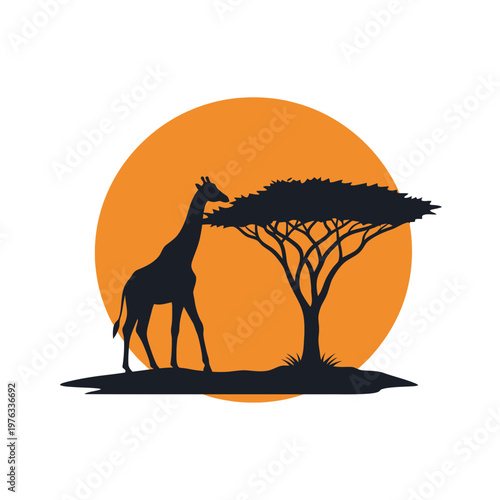 Giraffe Eating Leaves from Tree Silhouette.