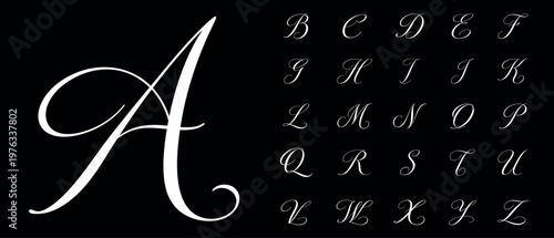 Elegant calligraphy monogram alphabet set with decorative flourishes, luxury script letters collection, isolated on black background, perfect for branding, wedding design, logos and invitations.