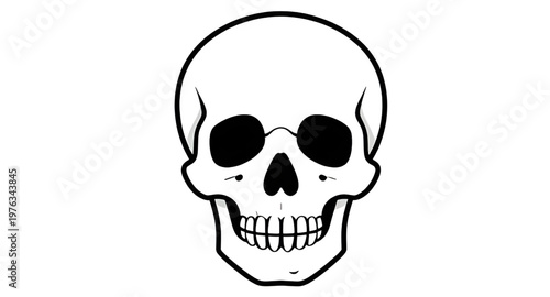 skull, human, bone, skeleton, anatomy, head, cranium, jaw, teeth, dental, medical, biology, science, structure, death, horror, spooky, scary, gothic, dark, halloween, macabre, eerie, symbol, danger, t