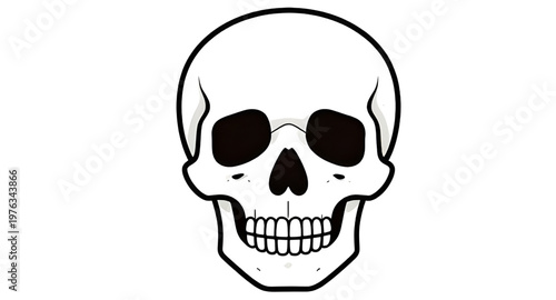 skull, human, bone, skeleton, anatomy, head, cranium, jaw, teeth, dental, medical, biology, science, structure, death, horror, spooky, scary, gothic, dark, halloween, macabre, eerie, symbol, danger, t