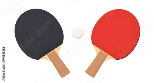 pingpongart, tabletennisart, racketart, paddleart, batart, ballart, sportart, gameart, playart, indoorart, competitionart, trainingart, matchart, equipmentart, gearart, athleteart, fitnessart, hobbyar